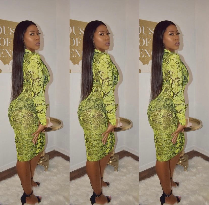 Snake Skin Dress