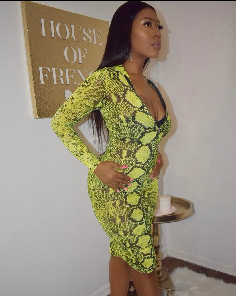 Snake Skin Dress